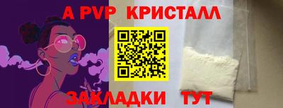 стаф Кинель