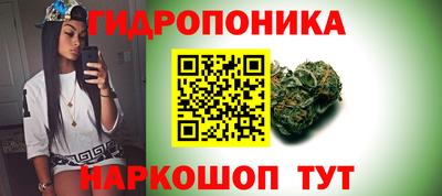 прущие грибы Кимры